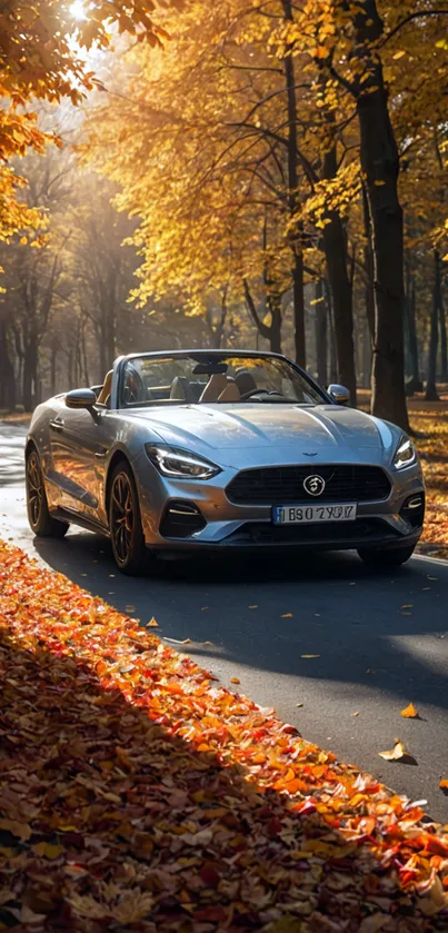 Convertible car driving through autumn leaves on a scenic park road.