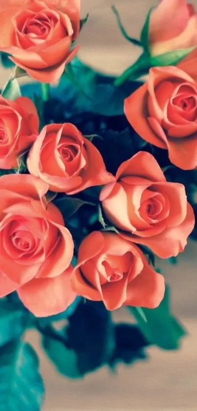 Coral roses bouquet with green leaves.