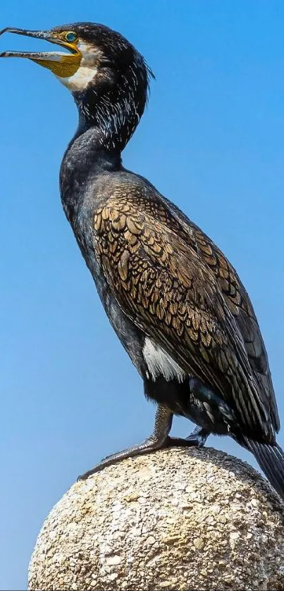 Majestic bird perched on textured stone against a blue sky.