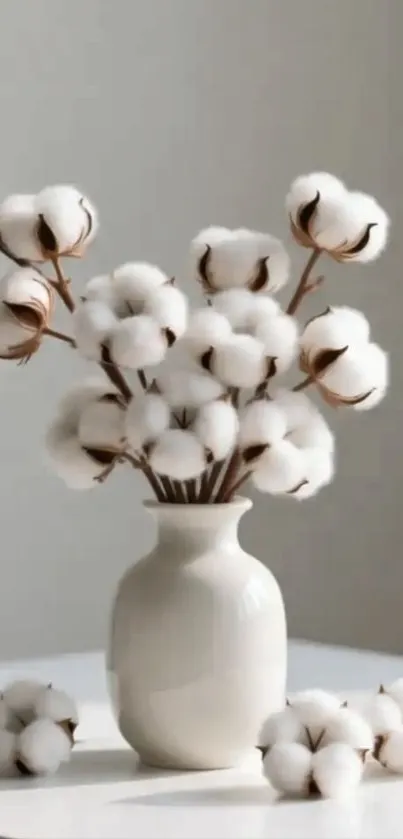 A white vase with cotton bouquet on a clean surface.