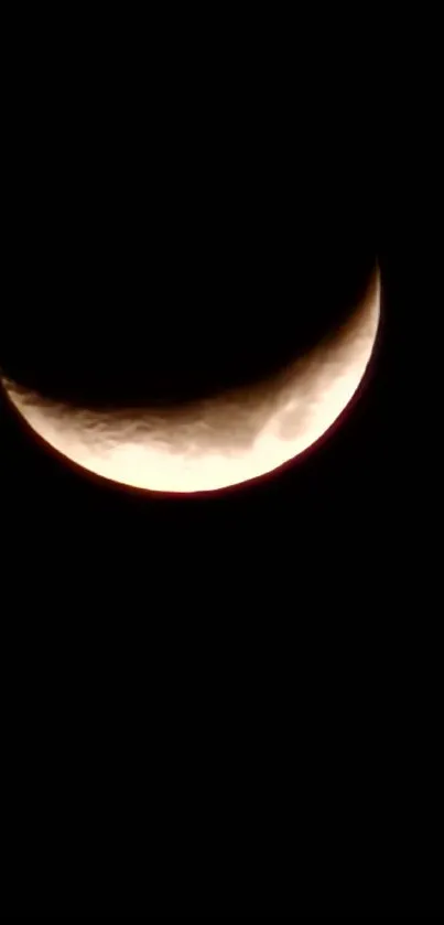 Elegant crescent moon on a black background.