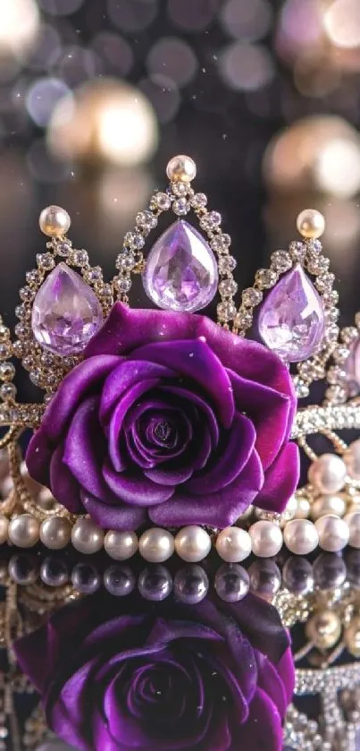 Luxurious crowned purple rose on reflective surface.