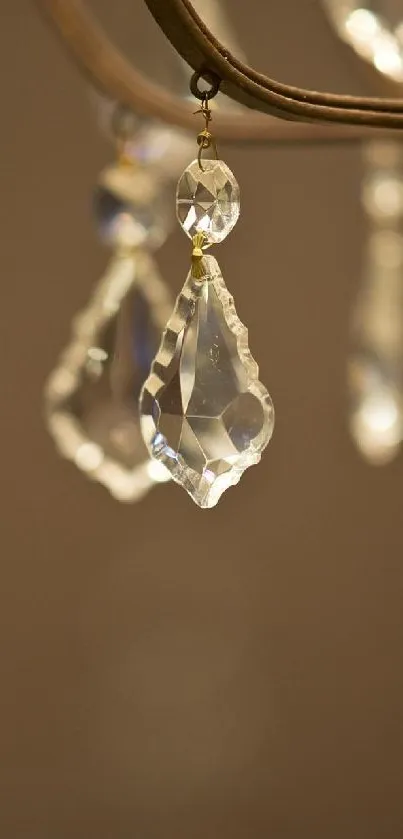 Close-up of a crystal chandelier with elegant details.