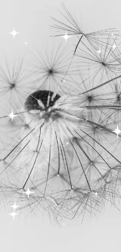 Minimalist black and white dandelion wallpaper for mobile phones.