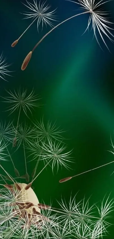 Aesthetic dandelion seeds on green mobile wallpaper.