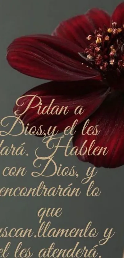 Dark flower with Bible verse in elegant script.