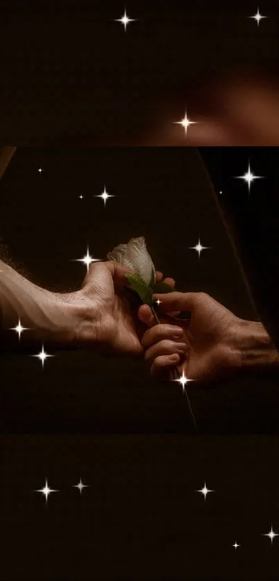 Two hands exchanging a white rose against a dark background with stars.