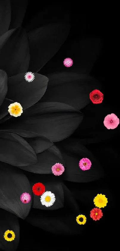 Dark black floral wallpaper with elegant petals.