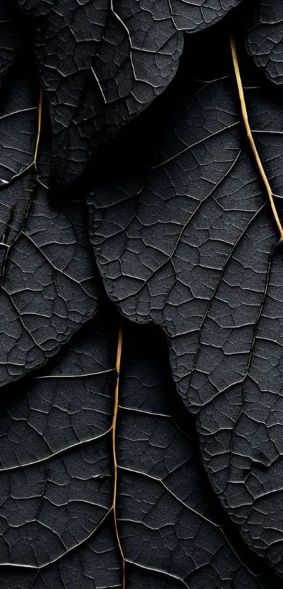 Dark leaves with golden veins create an elegant textured pattern.