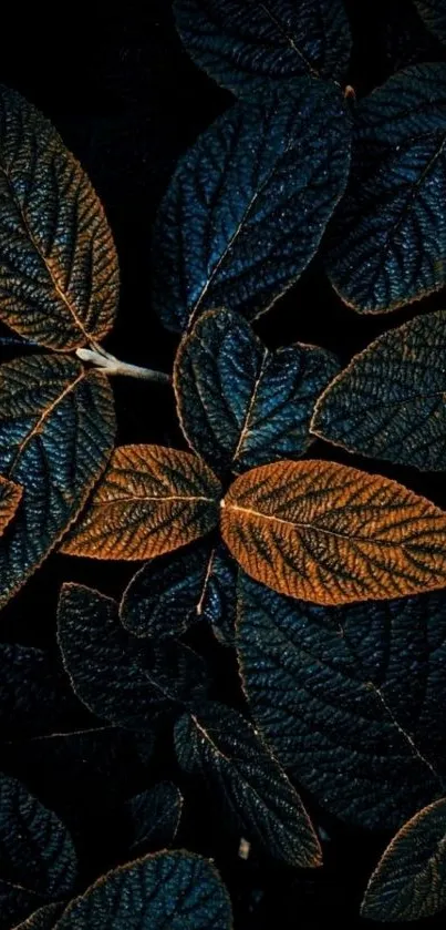 Dark leaves with an elegant textured design, perfect for a mobile wallpaper.