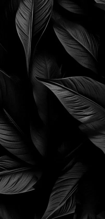 Dark leaf patterned mobile wallpaper, elegantly styled for a sleek look.