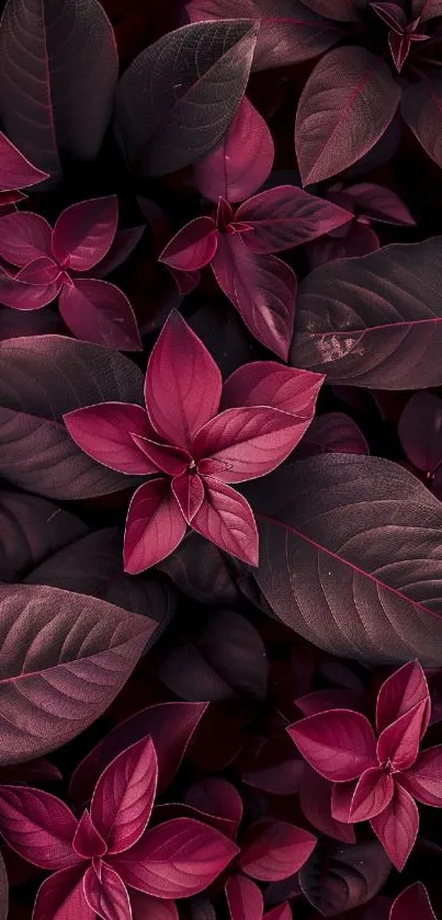 Elegant wallpaper with dark magenta leaves.