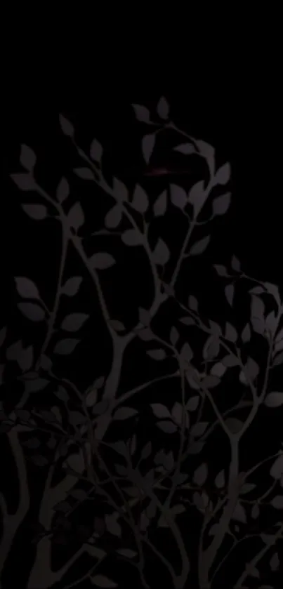 Elegant dark wallpaper with leaf silhouettes.