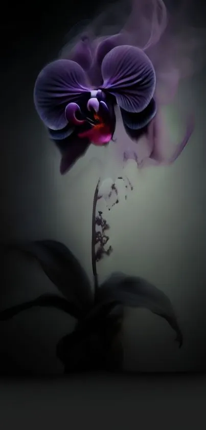 Dark orchid with smoky background wallpaper.