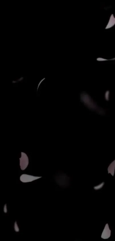 Dark wallpaper with elegant floating petals.