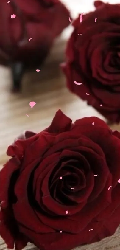 Elegant dark red roses on a wooden table, perfect for wallpaper.