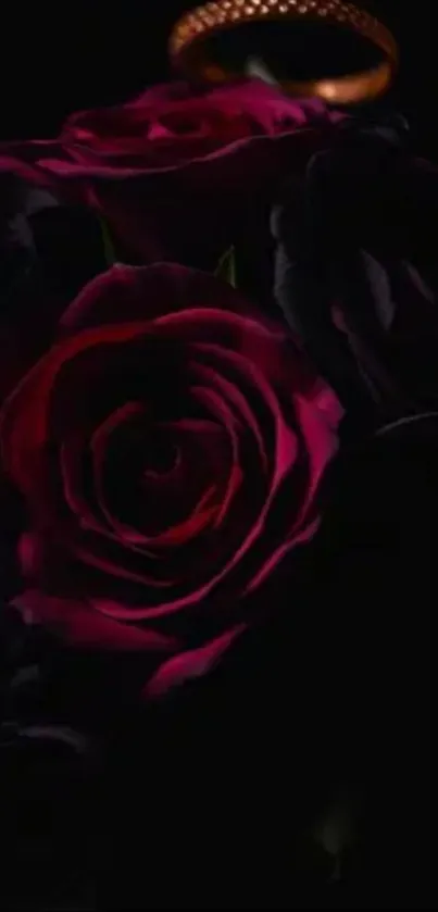 Dark and elegant rose design for mobile wallpaper.