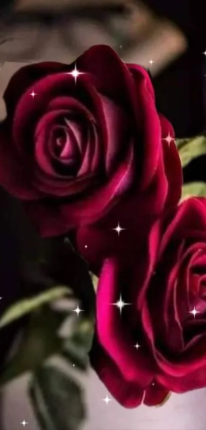 Dark elegant roses with starry accents.