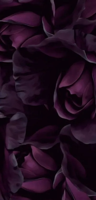 Dark purple rose wallpaper for mobile display.