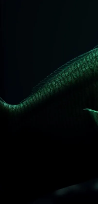 Elegant deep sea fish in dark ocean setting.