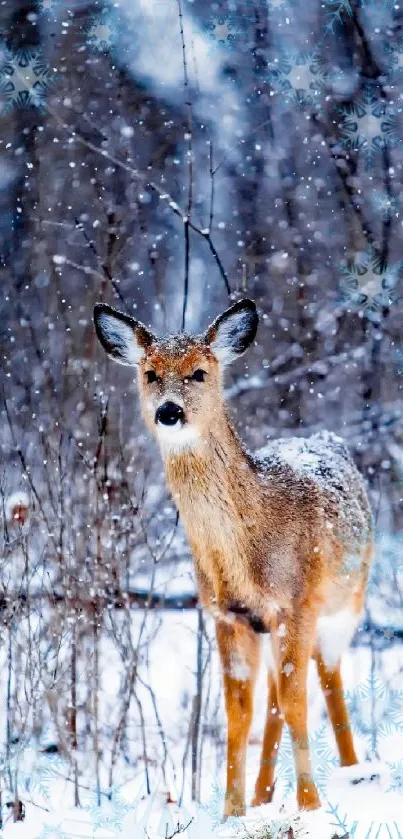 Deer standing in a snow-covered forest with a wintry background.