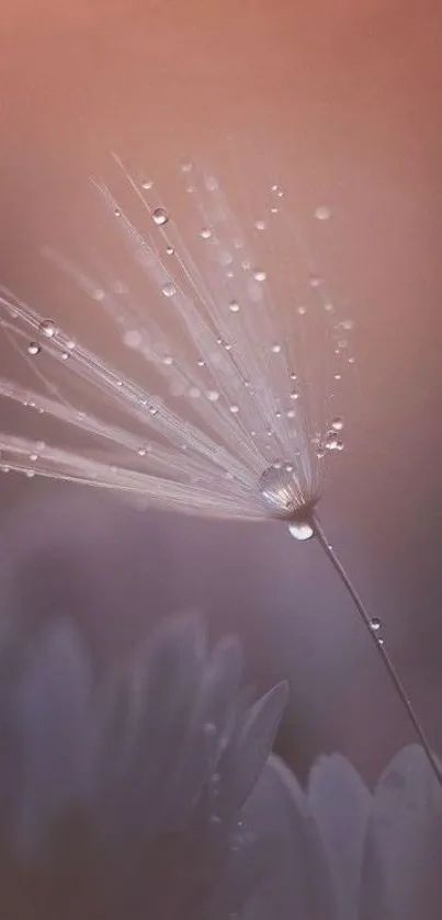 Delicate seed with dew in soft lavender tones against a serene background.