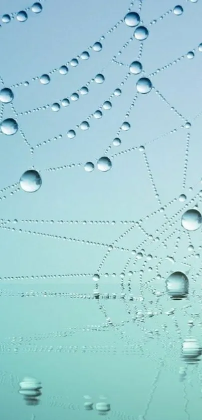 Dew drops on a spider web with light blue background.