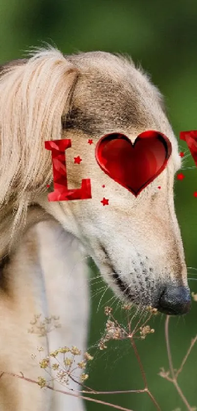 Dog in nature with red 'LOVE' text overlay.