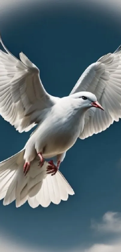 Dove in flight against a blue sky with clouds, symbolizing peace.