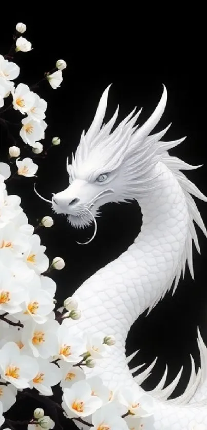 Graceful white dragon among cherry blossoms on dark background.