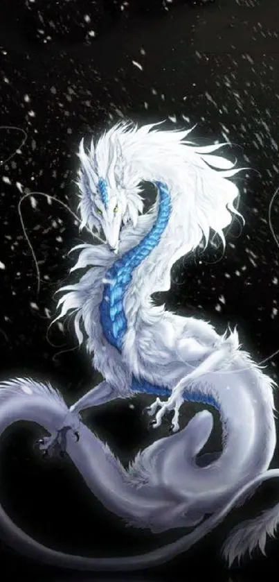 Fantasy white dragon on a dark starry background.