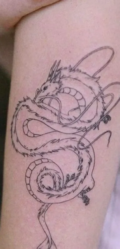 Intricate arm tattoo with dragon design on skin.