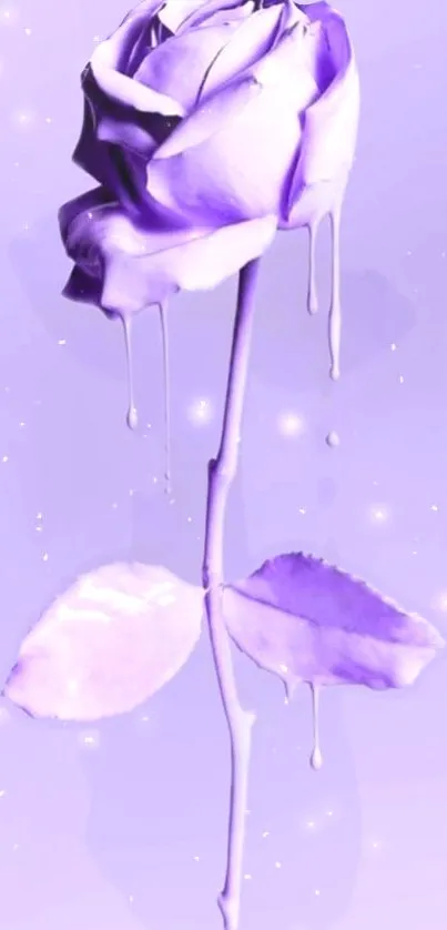 Purple rose with dripping effect on lavender background.