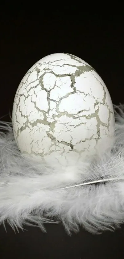 Cracked egg nestled in soft feathers on a dark background.