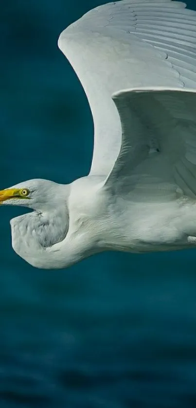 Graceful egret flies over deep blue water.