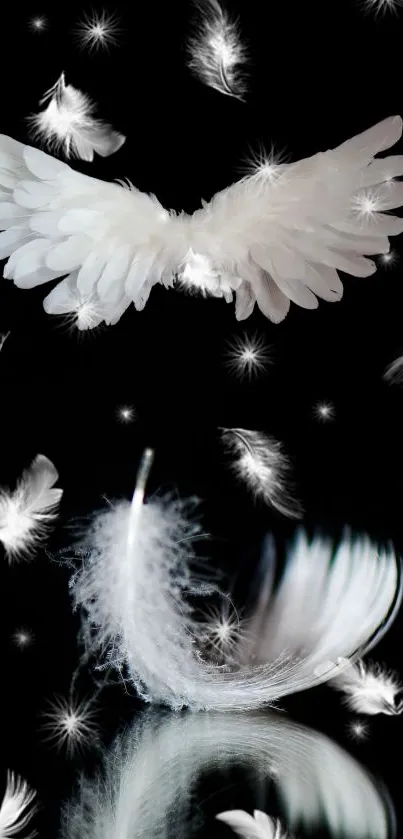 White feathers and angel wings on black background.