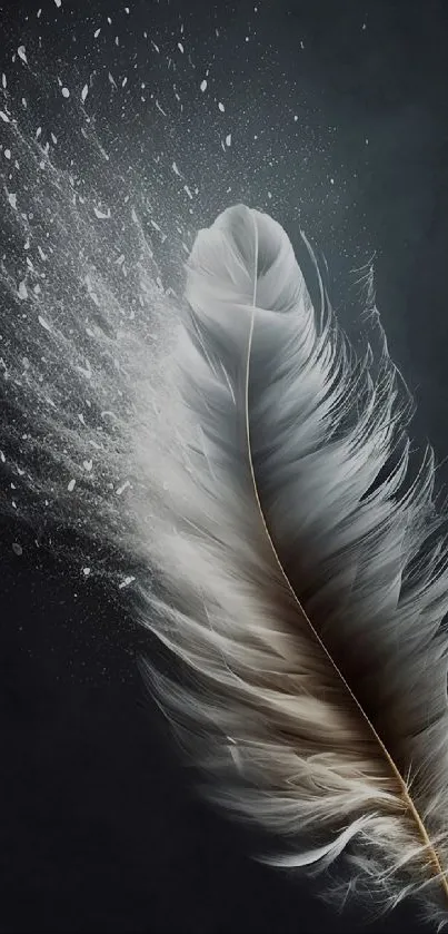 Elegant feather wallpaper with dark background for mobile display.