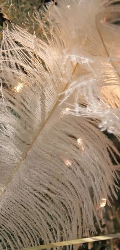 Delicate white feather mobile wallpaper with festive lights.