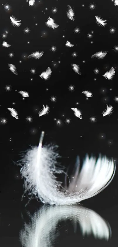 Floating white feathers on black background, elegant wallpaper.