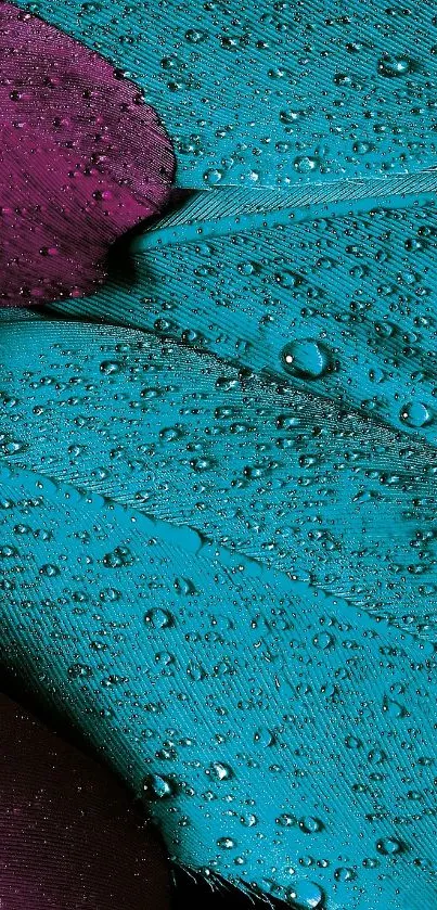 Mobile wallpaper with teal and purple feather texture and water droplets.