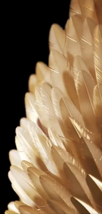 Intricate golden feather texture wallpaper for mobile devices.