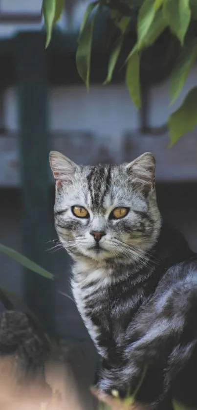 Striking cat amidst lush green leaves with a focused gaze.