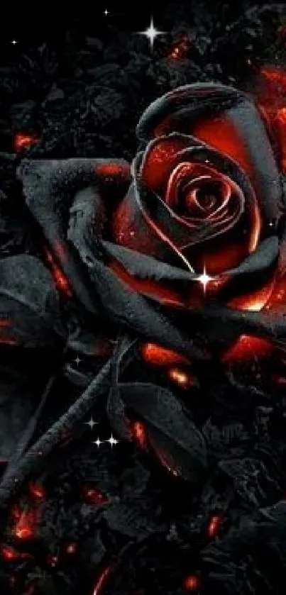 Fiery black rose with glowing red embers in a dark-themed wallpaper.