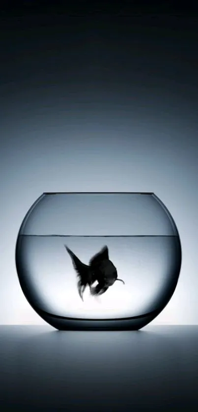 Elegant silhouette of a fish in a glass bowl on dark gray background.