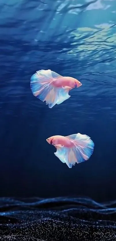 Two colorful Betta fish swimming underwater in a serene blue ocean setting.