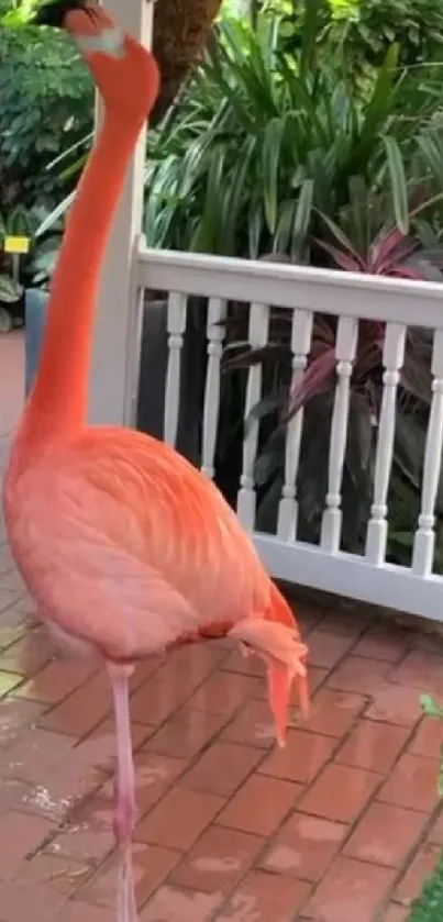 Graceful flamingo in lush tropical garden setting.