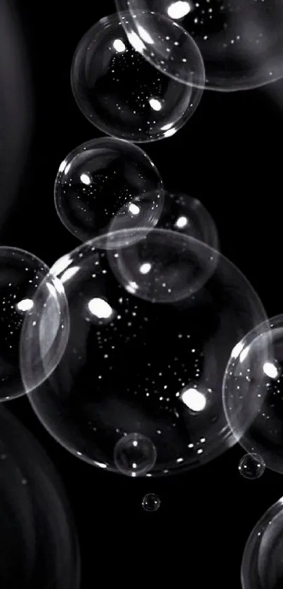 Black background with floating transparent bubbles.