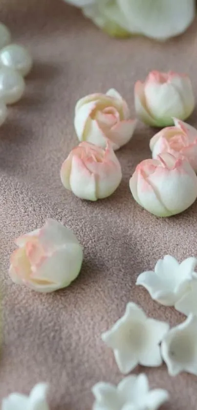 Delicate pink roses with white petals on beige background.