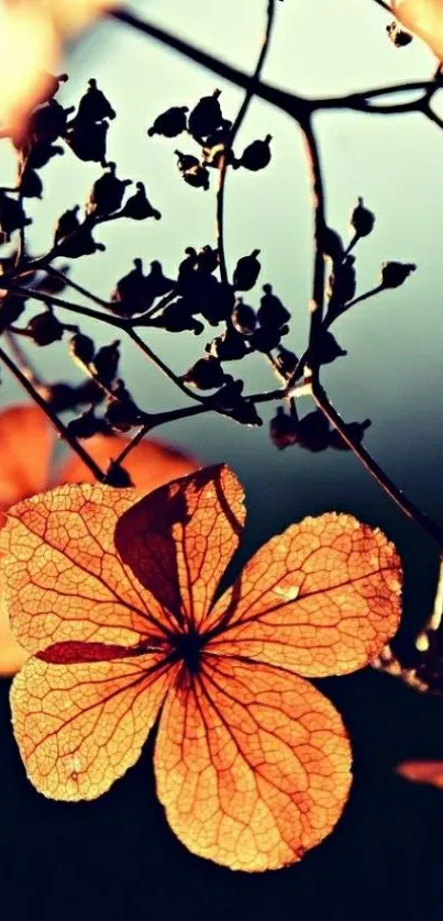 Elegant orange floral wallpaper with autumn leaves.