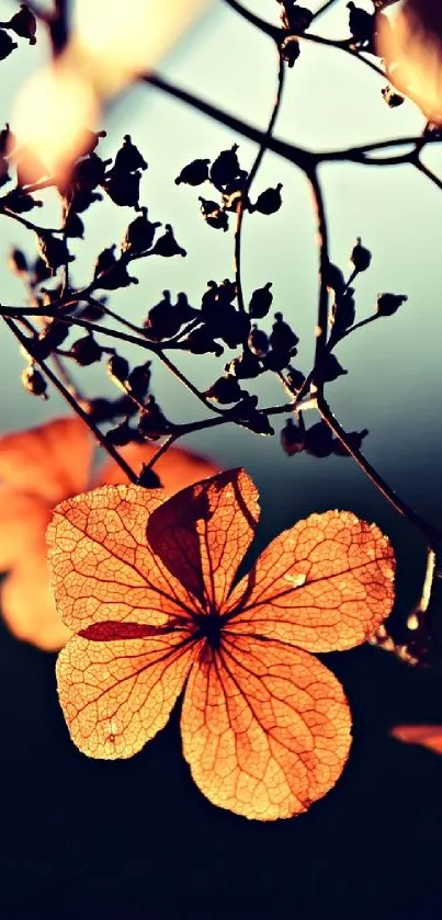 Orange flower silhouette with delicate branches on an autumn-themed wallpaper.